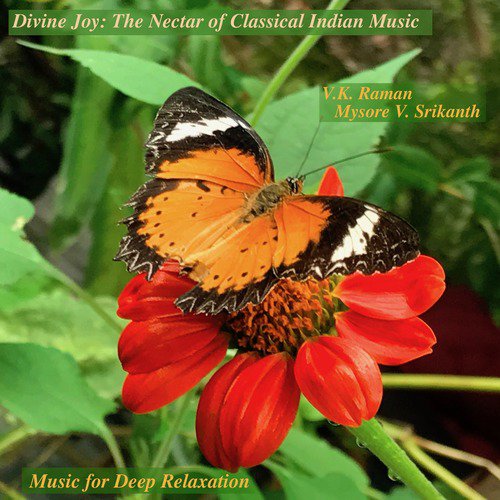 Divine Joy: The Nectar of Classical Indian Music