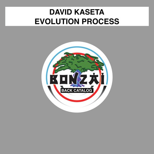 Evolution Process (Kaseta's Progression)