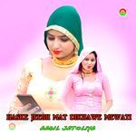 HASKE JEEBH MAT DIKHAWE MEWATI