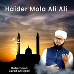 Haider Mola Ali Ali