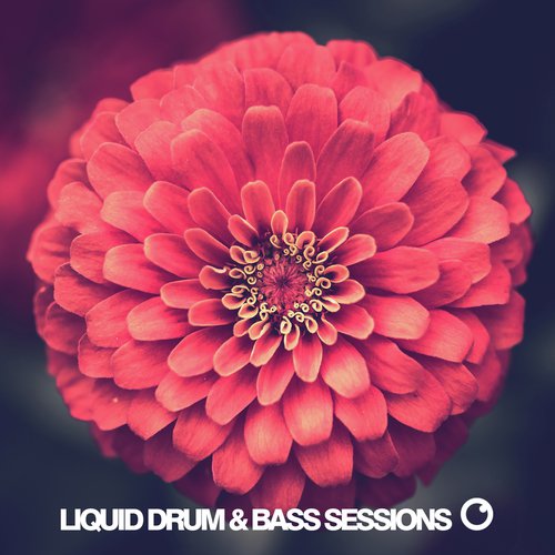 Liquid Drum & Bass Sessions 2020 Vol 8