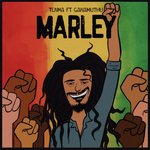 Lick Samba Lyrics - Bob Marley, The Wailers - Only on JioSaavn