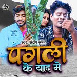 Pagali Ke Yard Me (maithili)