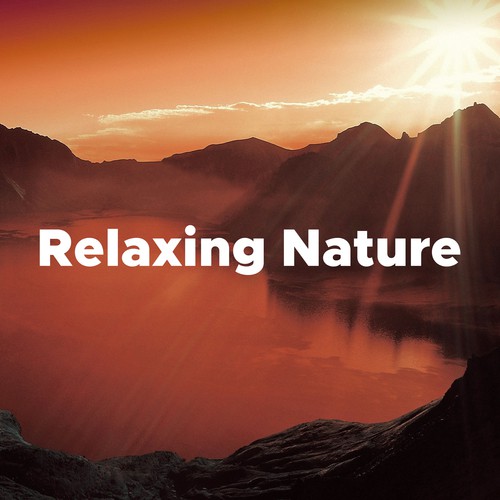 Relaxing Nature: Music to Sleep to