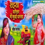 Saiyan Tharesar Me Norcha Dharawata (Bhojpuri Song)