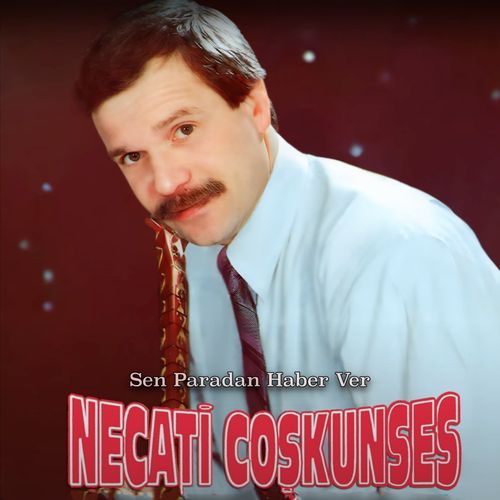 Sen Paradan Haber Ver cover art