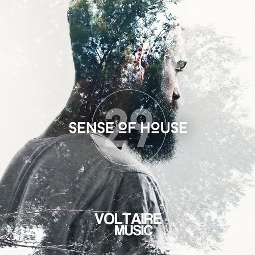 Sense of House, Vol. 29