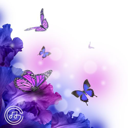 Singing Fairy