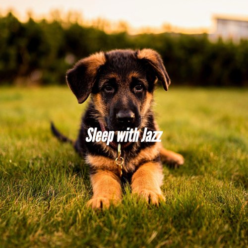 Sunny Calming Doggo Zone cover art
