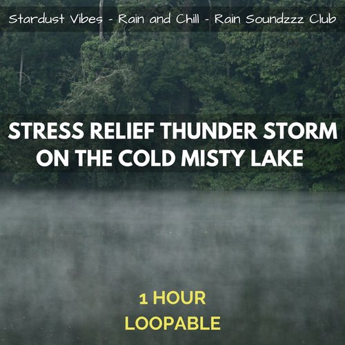 Stress Relief Thunder Storm on the Cold Misty Lake_poster_image