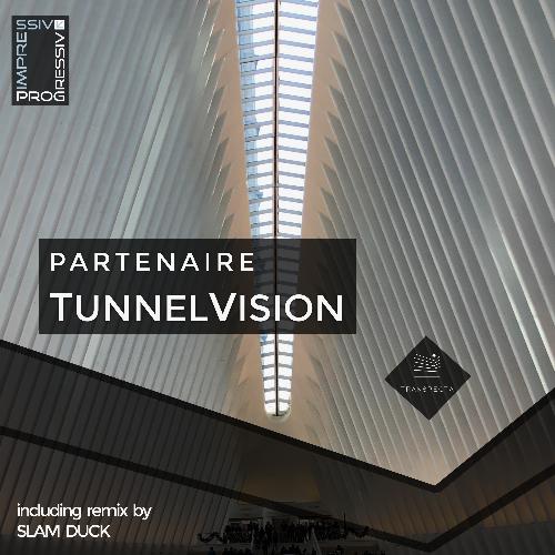 Tunnelvision (Slam Duck Remix) cover art