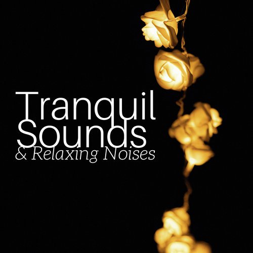 2018 Tranquil Sounds & Relaxing Noises