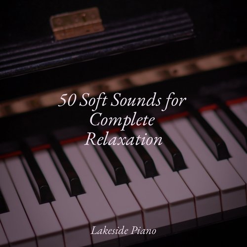 50 Soft Sounds for Complete Relaxation