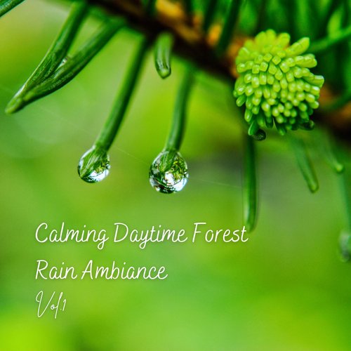 Calming Rainforest Sounds cover art