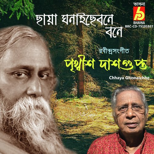 Chhaya Ghonaichhe