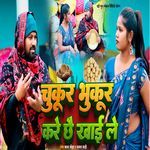 Chukur Bhukur Kare Chhai Khai le