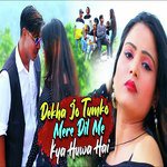 Dekh Jo Tumko Mere Dil Ko Kya Huwa Hai