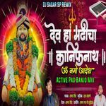 Dev Ha Madhicha Kanifnath