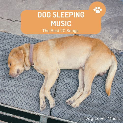 Dog dreams cover art