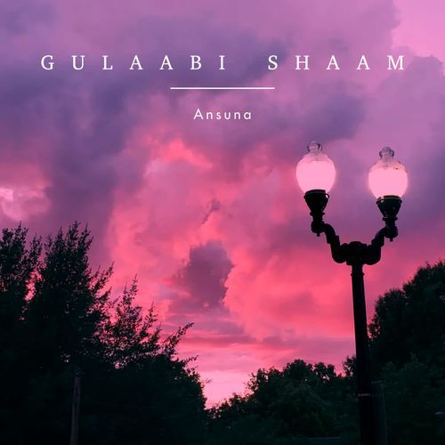 Gulaabi Shaam