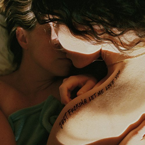 Just Fucking Let Me Love You_poster_image