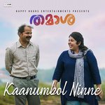 Kaanumbol Ninne (From &quot;Thamaasha&quot;)