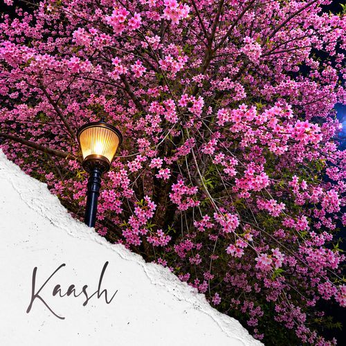 Kaash