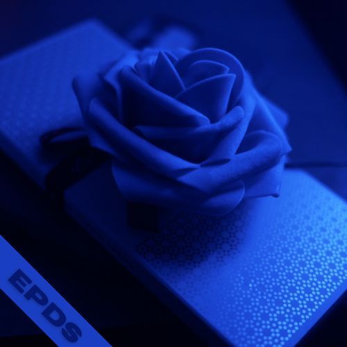 LAS ROSAS cover art