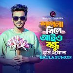 শাপলা বিলে আইও তুমি একেলা