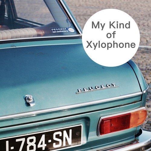 My Kind of Xylophone