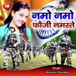 Namo-Namo Fauji Namaste (Hindi Song)