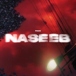 Naseeb-P10bYjpaUgI