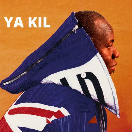 Papa Wemba cover art