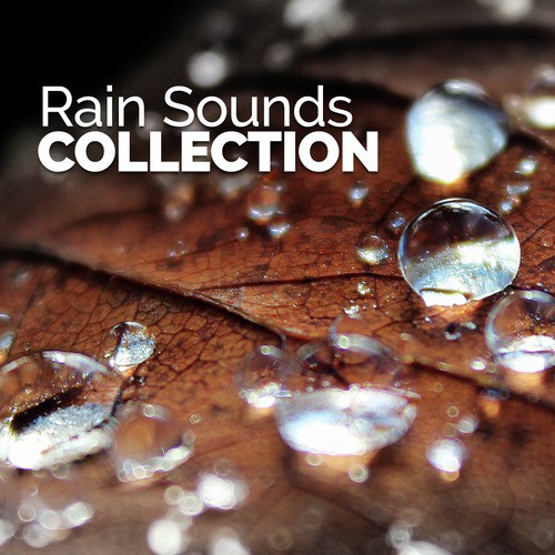 Autumn Rain cover art