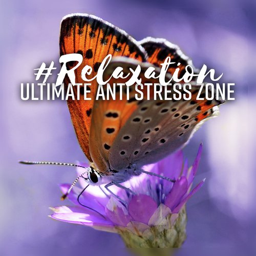 Ultimate Anti Stress Zone cover art