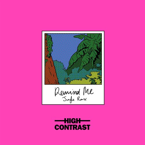 Remind Me (High Contrast Jungle Mix)_poster_image