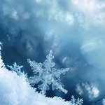 Song for a Winter's Night