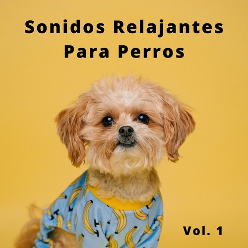 Música De Spa Para Cachorros cover art