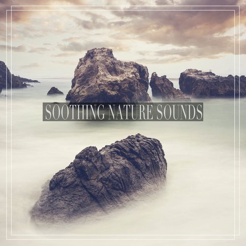 Soothing Nature Sounds