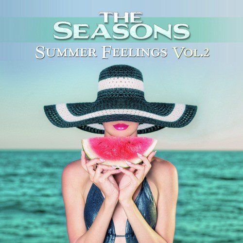 Summer Feelings, Vol. 2