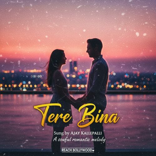 Tere Bina