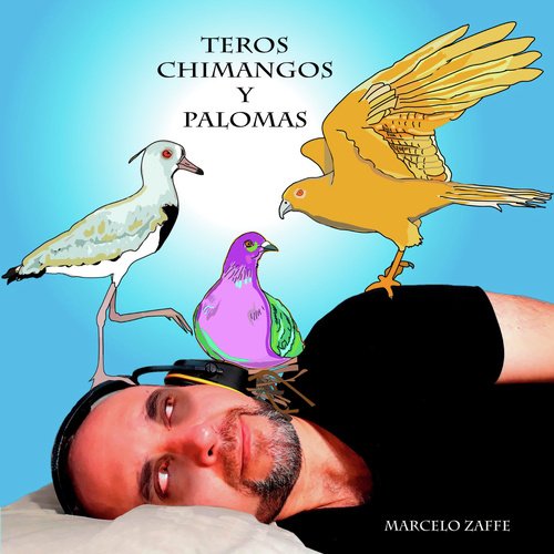 Teros Chimangos y Palomas cover art