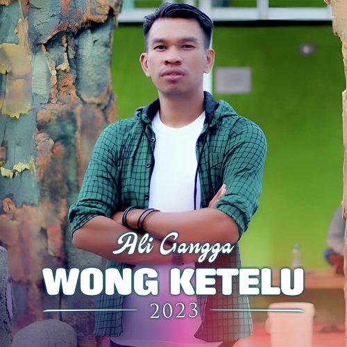 WONG KETELU (DJ Tarling Remix) cover art