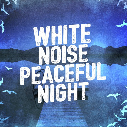White Noise: Fan Sounds