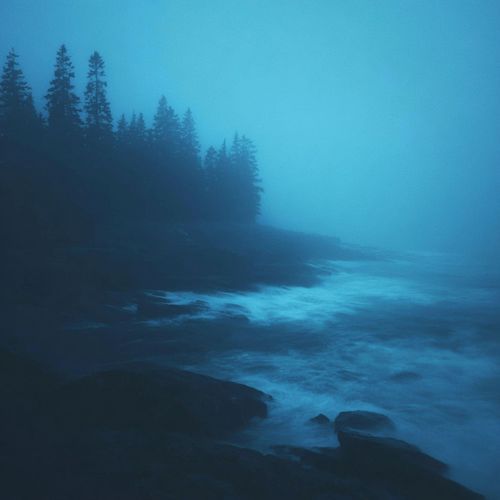 silent ruins of us