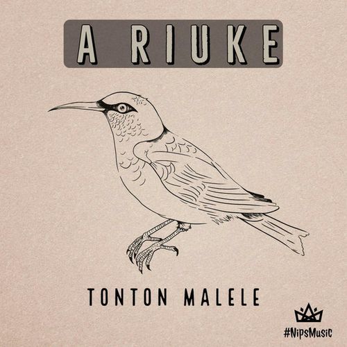 A Riuke cover art