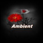 Ambient