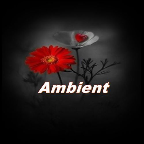 Ambient_poster_image