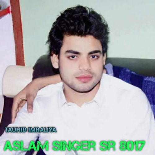 Aslam singer sr 8017