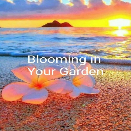Blooming in Your Garden